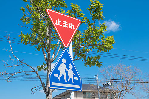 一時停止 標識写真